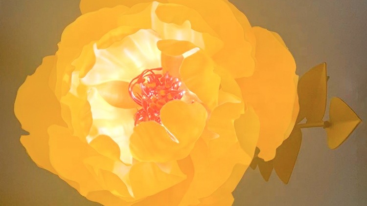 Home Decoration Interior Lighting 3D Night Light Customized Luxury Blooming Flower LED Night Light - 图片 2