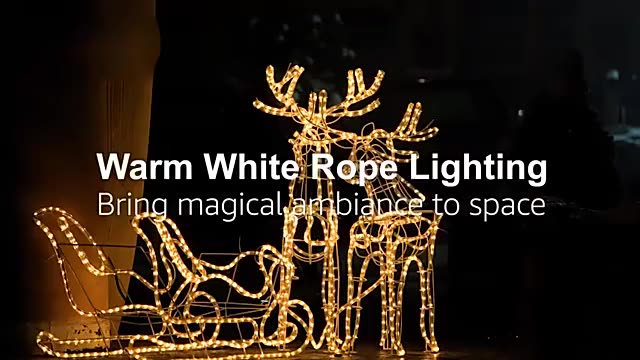 High Bright 110V/220V IP65 2 Wire 100m Led Rope Lights - 图片 2