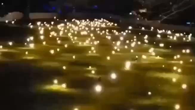 Christmas Decoration Outdoor Lawn Landscape Park Square Decorative Lights Automatic Swaying Led Firefly Garden Lights - 图片 3