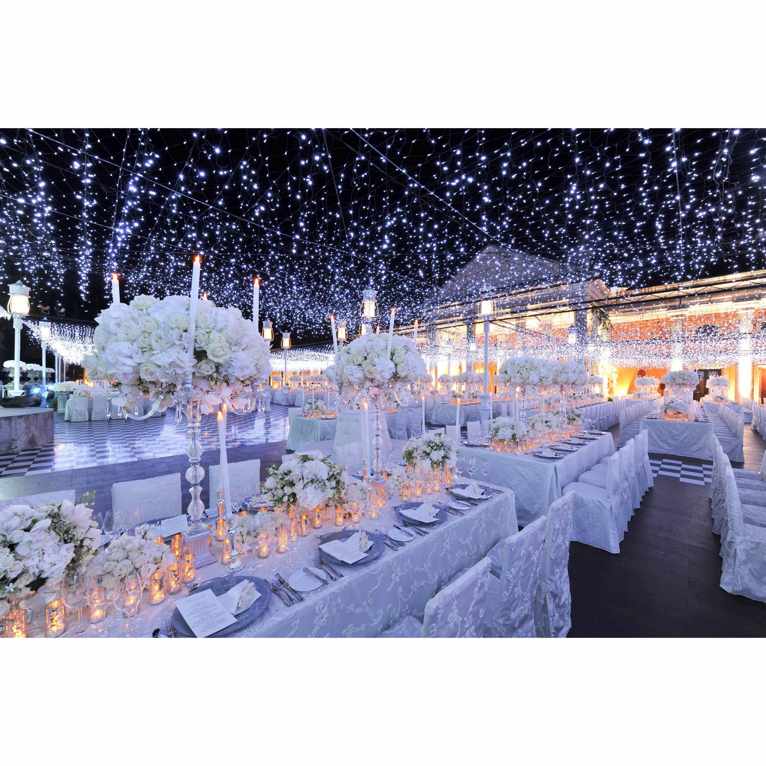 Holiday Party Rice Light Decorative Outdoor Waterproof Christmas Rice Light Led Decorative - 图片 6