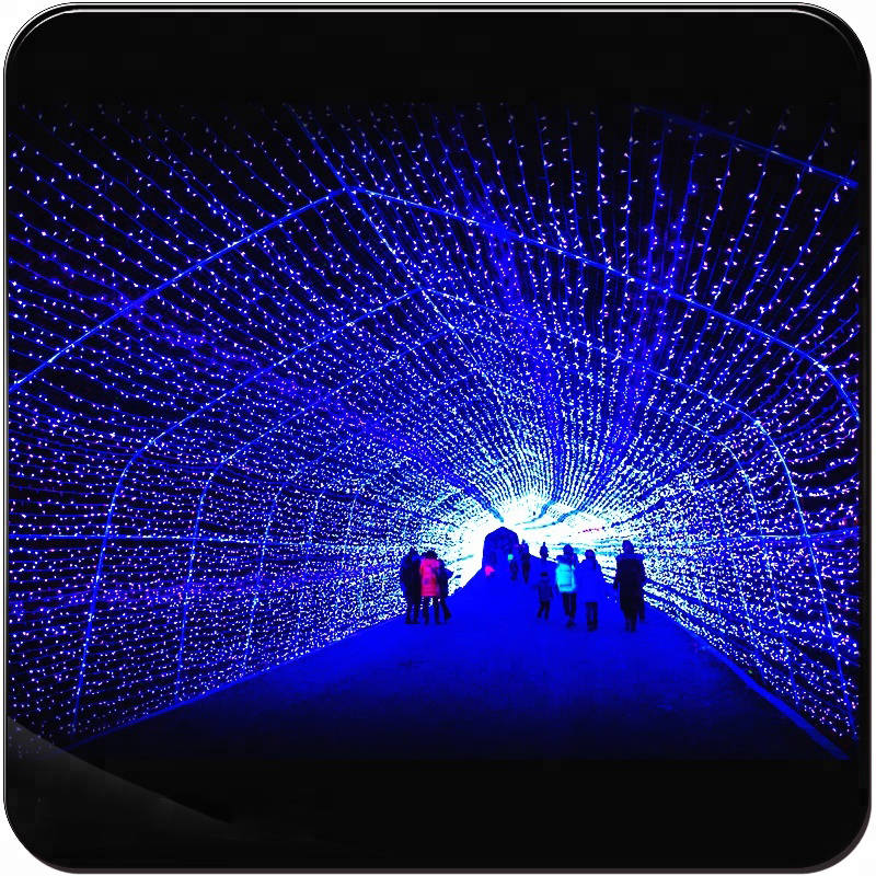 Outdoor 3D Tunnel Lights Street Decoration For Holidays - 图片 3