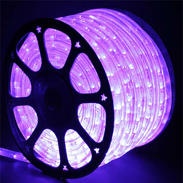 High Bright 110V/220V IP65 2 Wire 100m Led Rope Lights - 图片 5