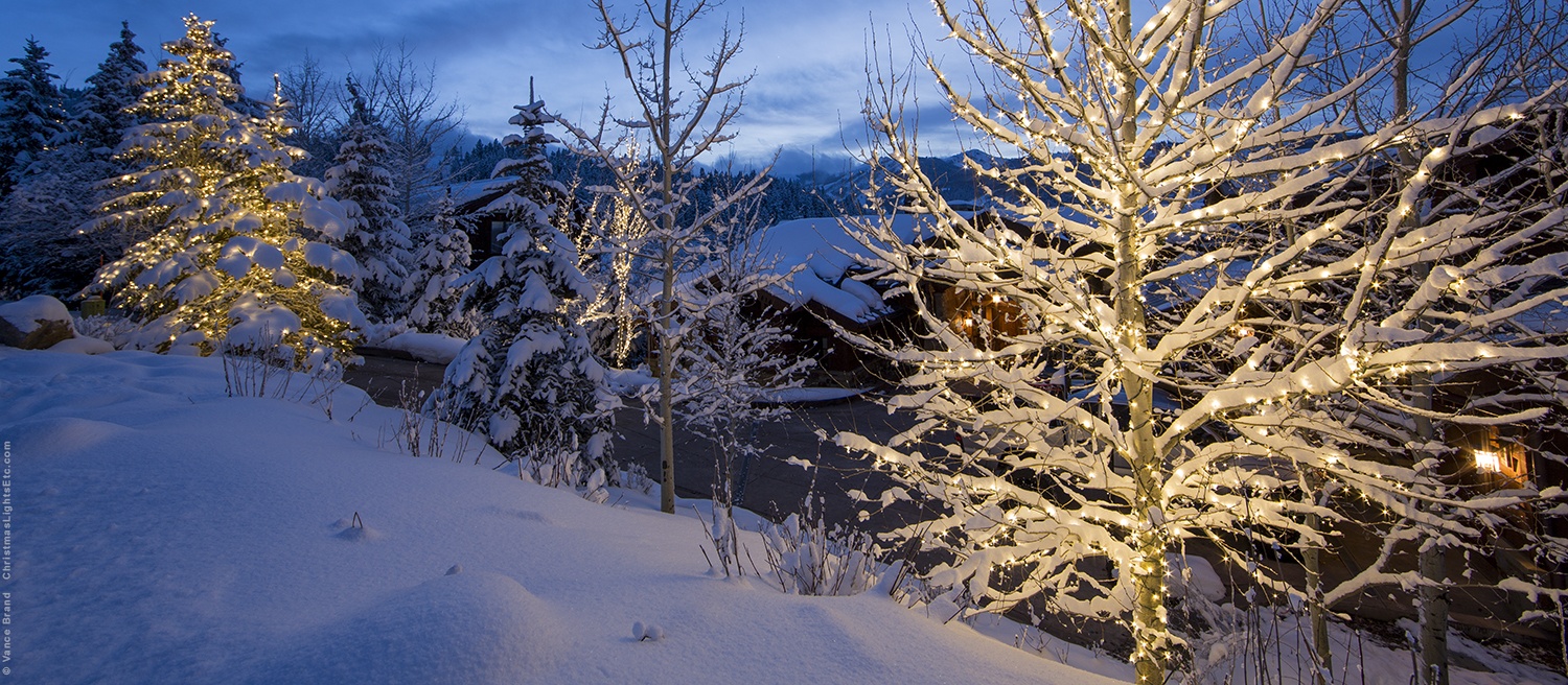 Holiday Party Rice Light Decorative Outdoor Waterproof Christmas Rice Light Led Decorative - 图片 4