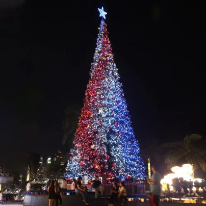 2025 Year Large Outdoor PVC LED Lights Christmas Tree Waterproof Decorated Big Christmas Tree