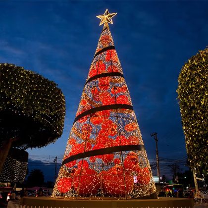 2025 New Product Customizable Giant Outdoor Christmas Tree Lights Waterproof Artificial Lighting Decoration