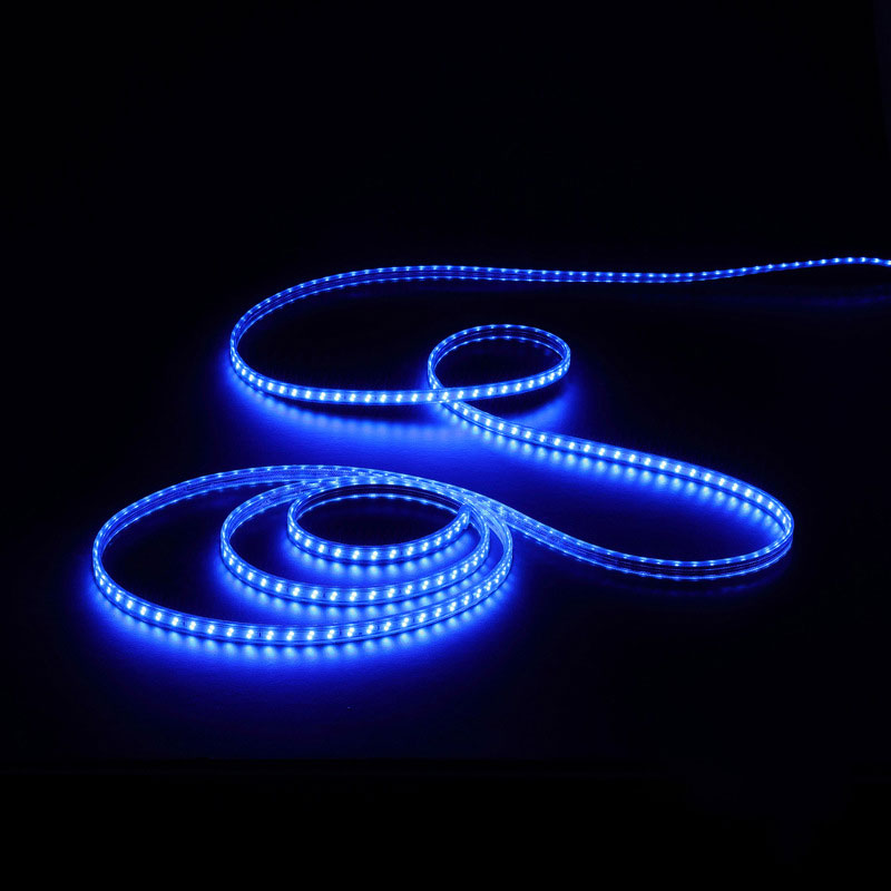 2025 New Product Outdoor Decoration Waterproof Mini Led Lights Color Changing Led Rope Light - 图片 4