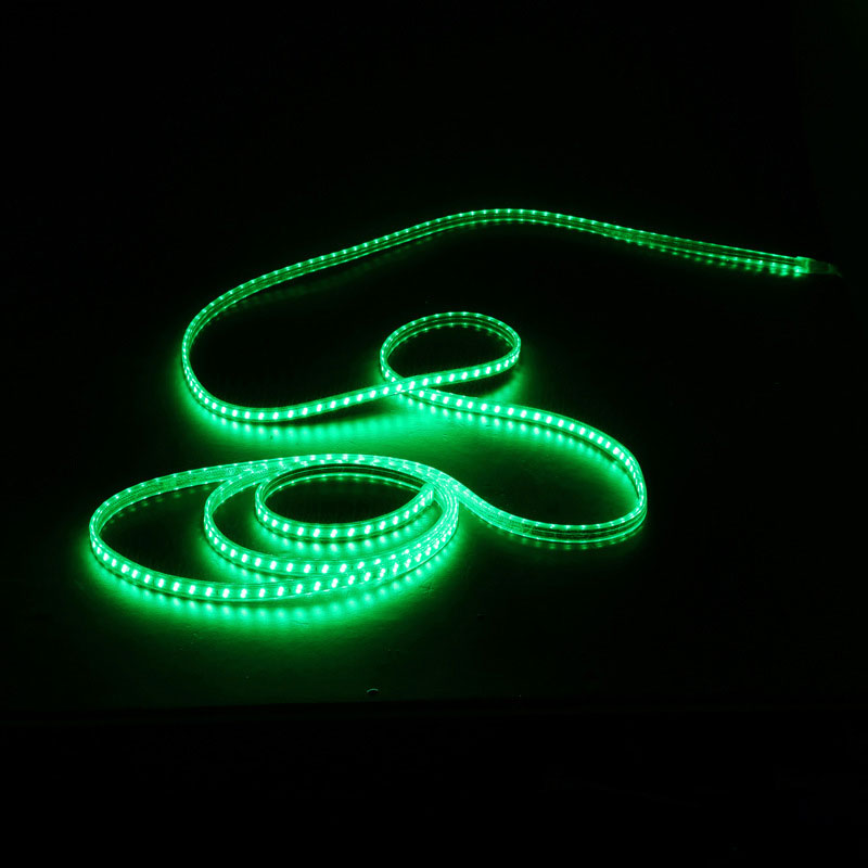 2025 New Product Outdoor Decoration Waterproof Mini Led Lights Color Changing Led Rope Light - 图片 5