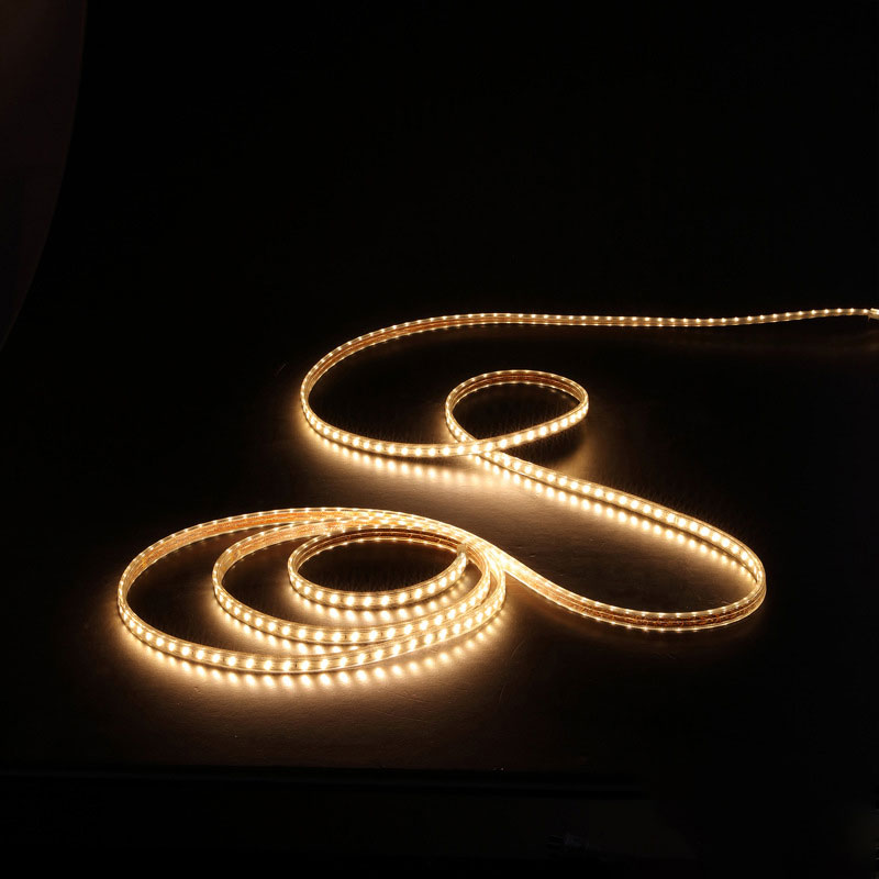 2025 New Product Outdoor Decoration Waterproof Mini Led Lights Color Changing Led Rope Light - 图片 7