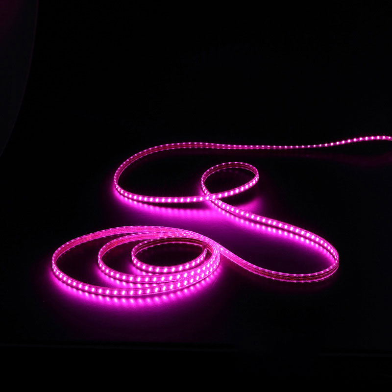 2025 New Product Outdoor Decoration Waterproof Mini Led Lights Color Changing Led Rope Light - 图片 8